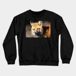 Wild Crewneck Sweatshirt